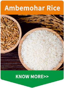 indian rice ambemohar rice
