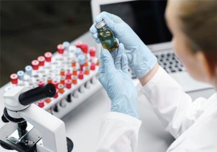 Key international benchmarks