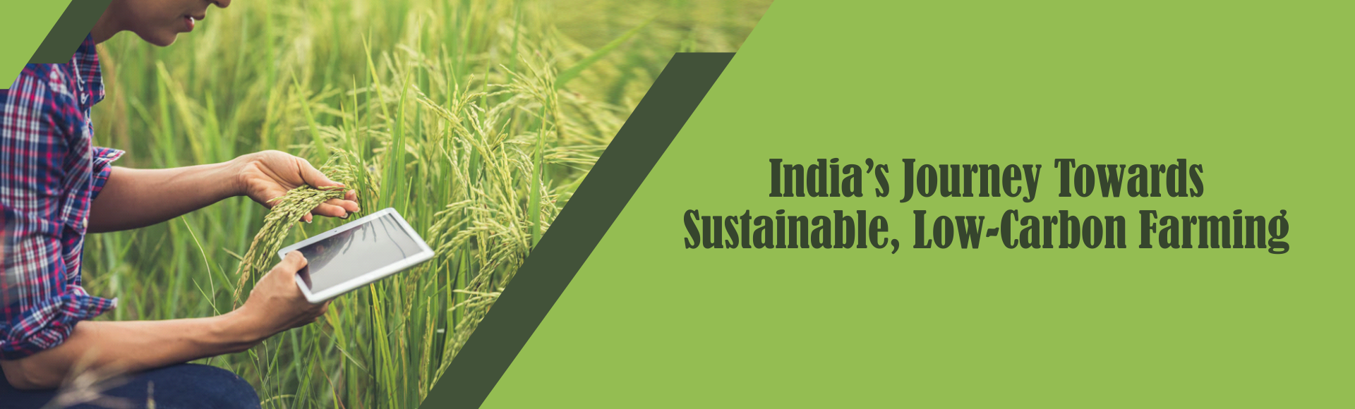 India’s Journey Towards Sustainable, Low-Carbon Farming