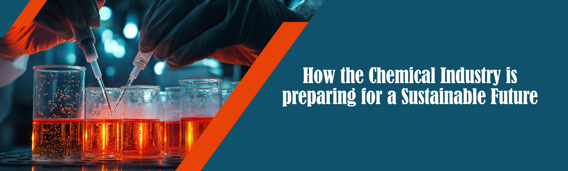 How the Chemical Industry is preparing for a Sustainable Future