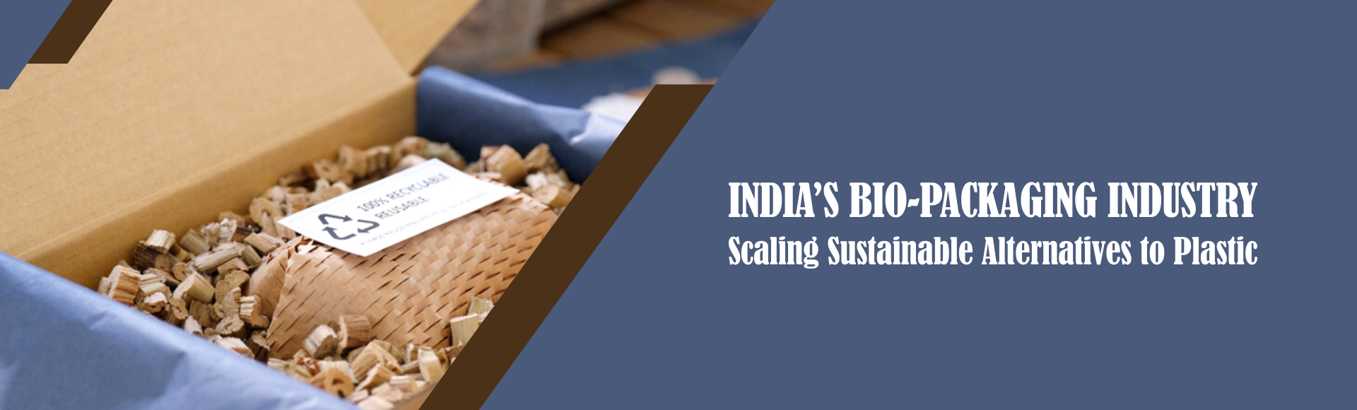 India’s Bio-Packaging Industry: Scaling Sustainable Alternatives to Plastic