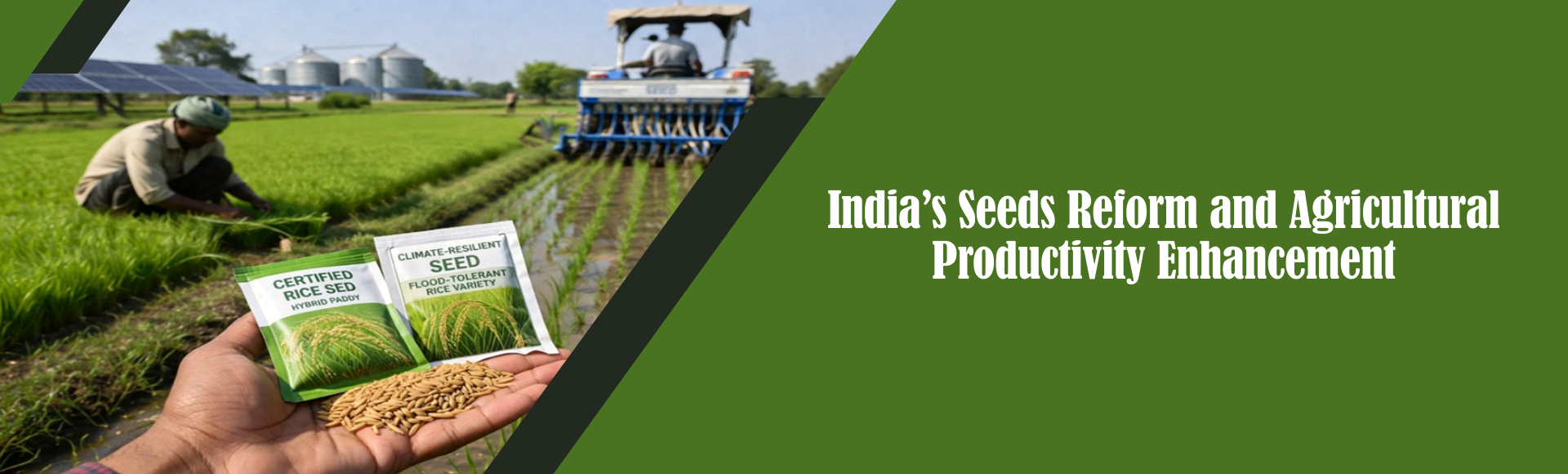 India’s Seeds Reform and Agricultural Productivity Enhancement