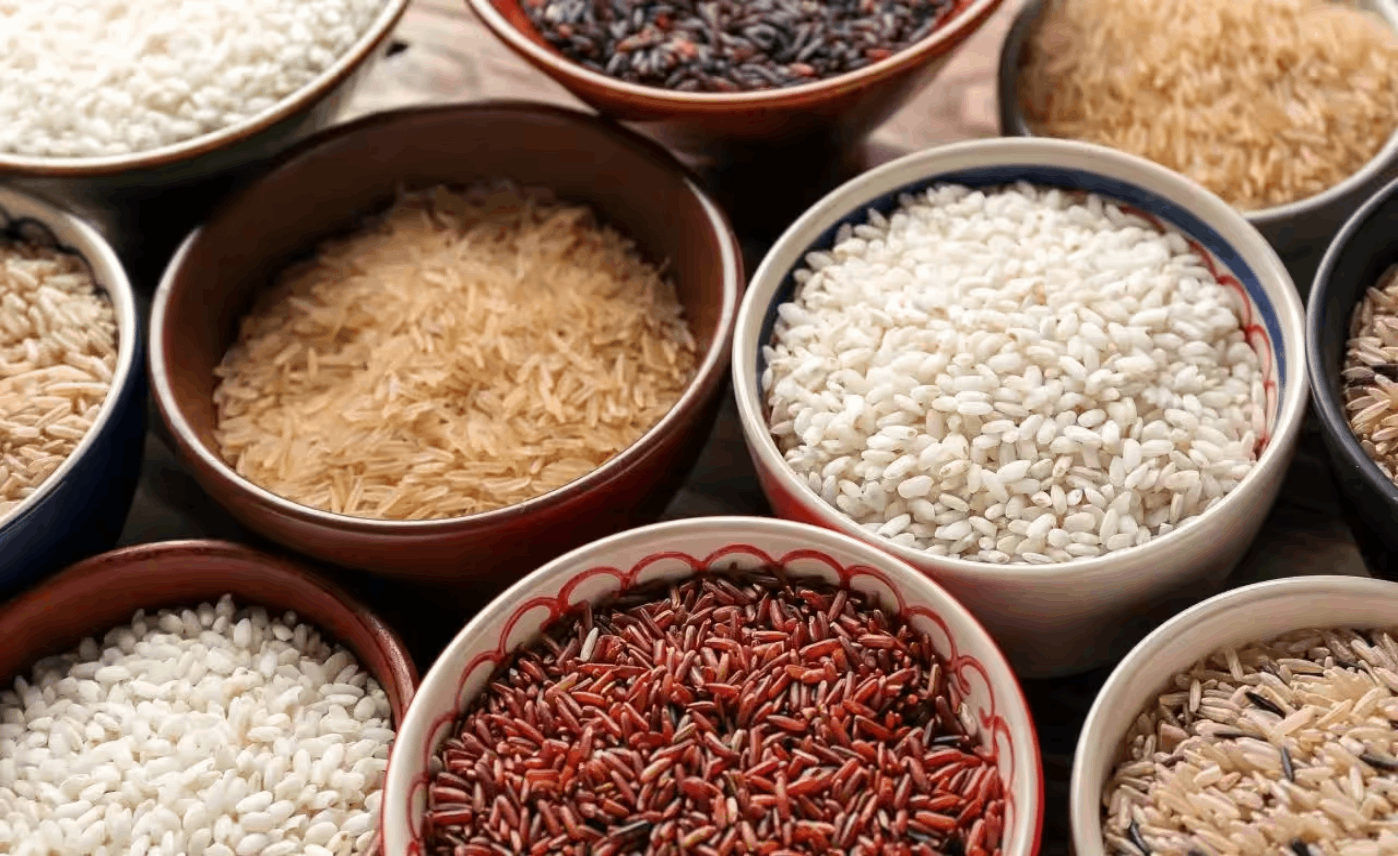 Popular Rice Varieties in India: Market Landscape, Key Varieties and Growth Opportunities