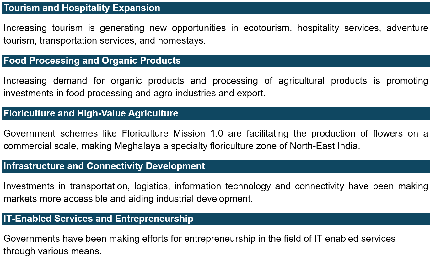 Growth Drivers and Key Trends