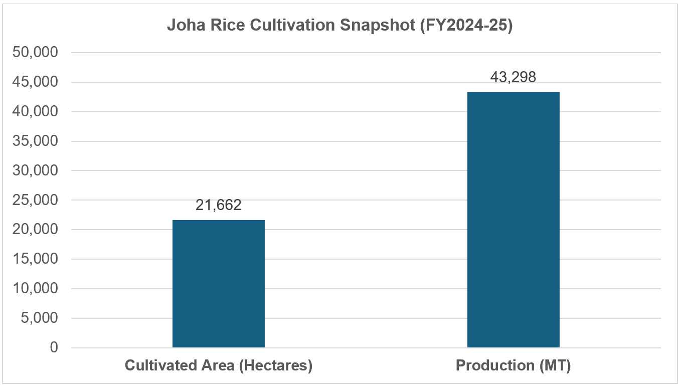 Joha Rice Cultivation Snapshot