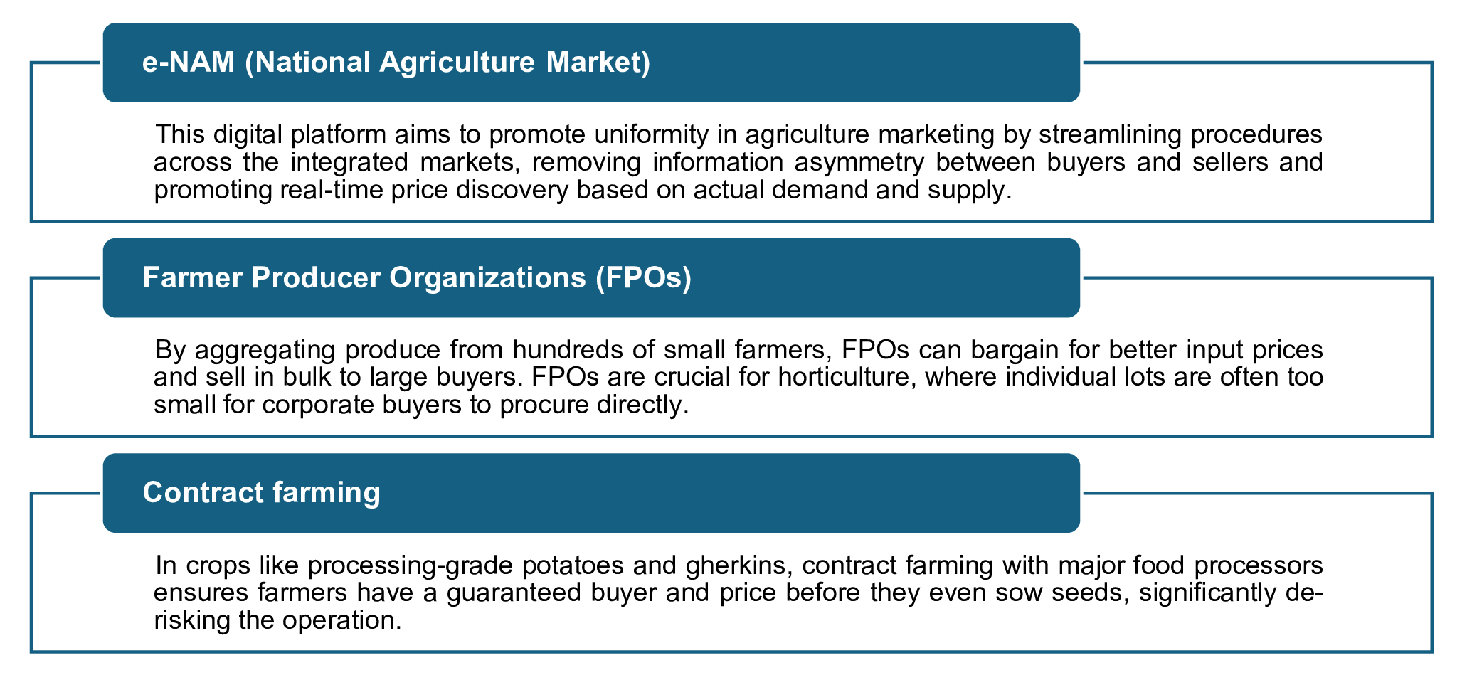 Market access and value chains: From farm to consumer