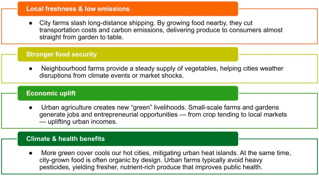 The urban food imperative