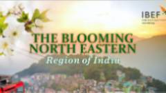 Blooming Northeast