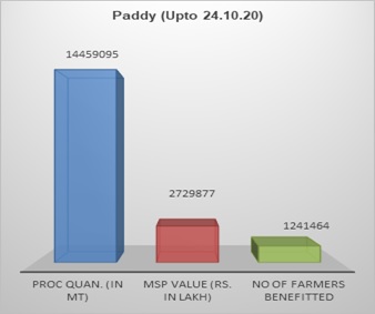 Paddy1